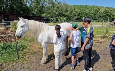 Das Glück dieser Erde – Mitarbeiterin initiiert Projekt für Kinder der GUK auf Reiterhof